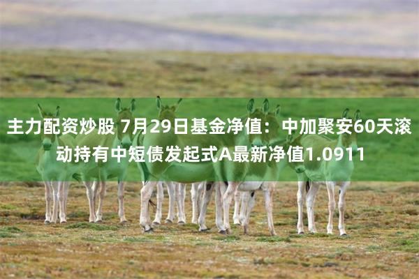 主力配资炒股 7月29日基金净值：中加聚安60天滚动持有中短债发起式A最新净值1.0911
