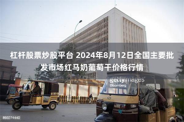 杠杆股票炒股平台 2024年8月12日全国主要批发市场红马奶葡萄干价格行情