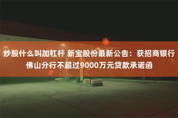 炒股什么叫加杠杆 新宝股份最新公告：获招商银行佛山分行不超过9000万元贷款承诺函