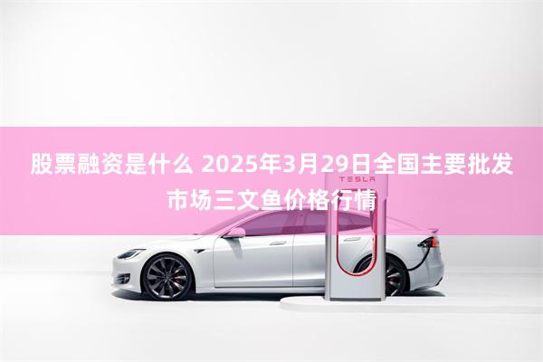 股票融资是什么 2025年3月29日全国主要批发市场三文鱼价格行情