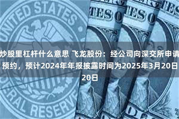 炒股里杠杆什么意思 飞龙股份：经公司向深交所申请预约，预计2024年年报披露时间为2025年3月20日