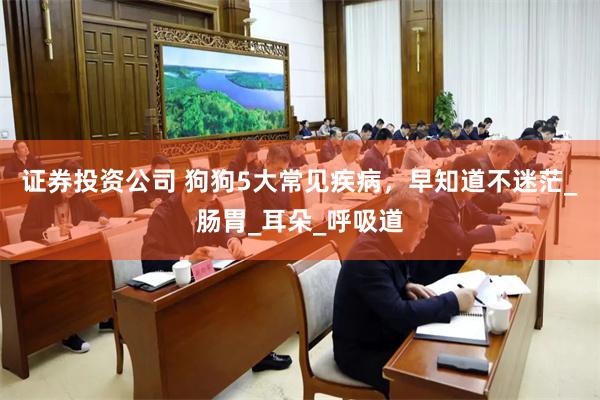 证券投资公司 狗狗5大常见疾病，早知道不迷茫_肠胃_耳朵_呼吸道