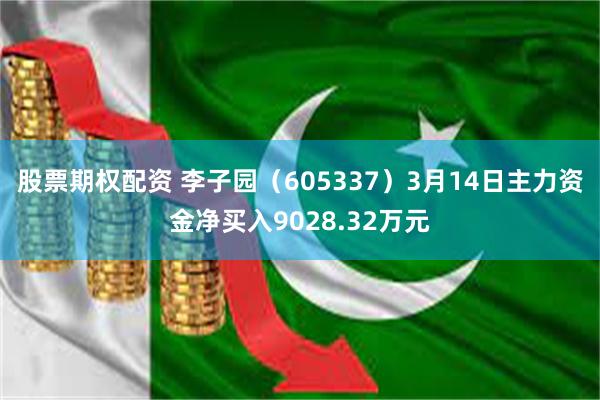 股票期权配资 李子园（605337）3月14日主力资金净买入9028.32万元