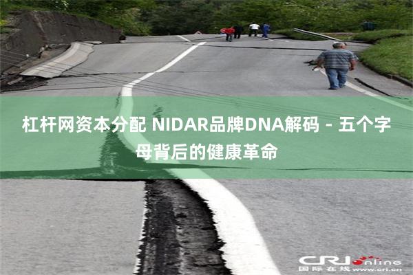 杠杆网资本分配 NIDAR品牌DNA解码 - 五个字母背后的健康革命