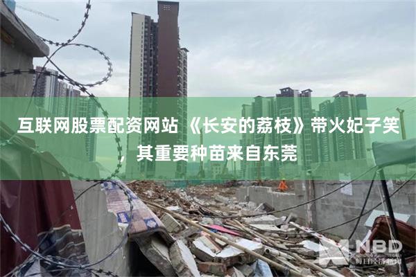 互联网股票配资网站 《长安的荔枝》带火妃子笑，其重要种苗来自东莞