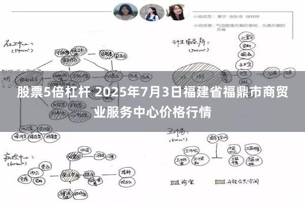股票5倍杠杆 2025年7月3日福建省福鼎市商贸业服务中心价格行情