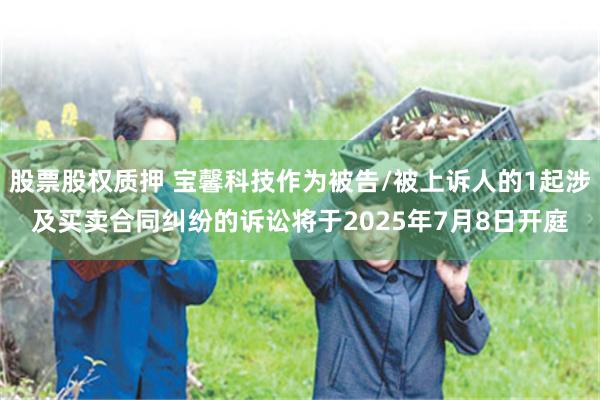 股票股权质押 宝馨科技作为被告/被上诉人的1起涉及买卖合同纠纷的诉讼将于2025年7月8日开庭